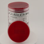 Sheep Blood Agar