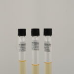 ماء الببتون القلوي