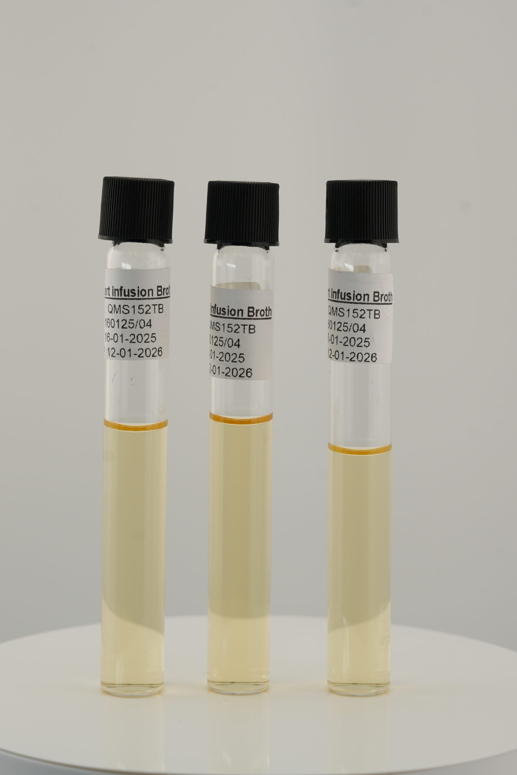 Brain Heart Infusion Broth