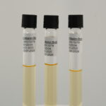 مرق تسريب الدماغ والقلب