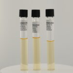 مرق تسريب الدماغ والقلب