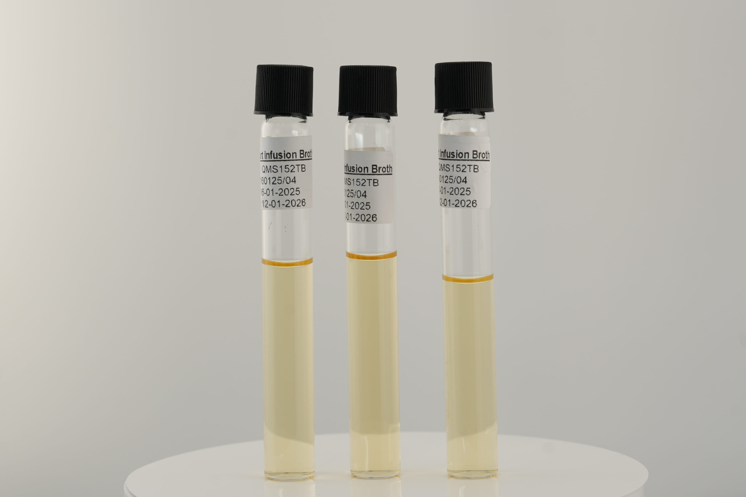 مرق تسريب الدماغ والقلب