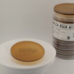 أجار الصفراء إسكولين