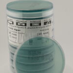 أجار CLED (سيستين - لاكتوز - إلكترولايت ناقص)