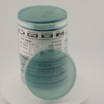 أجار CLED (سيستين - لاكتوز - إلكترولايت ناقص)