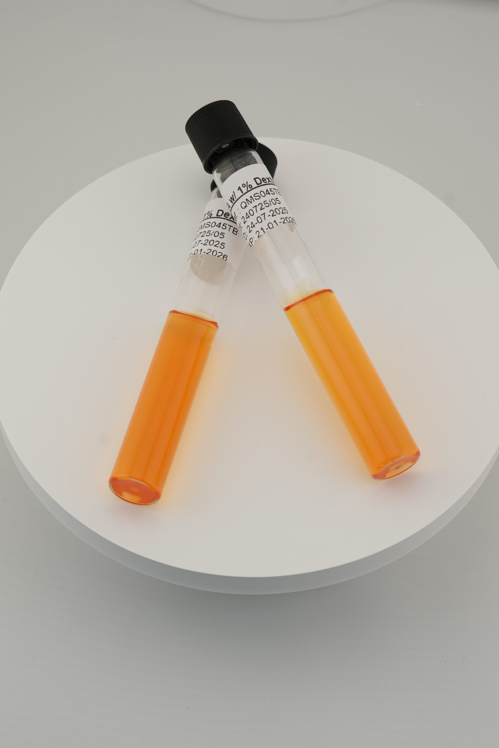 وسط CTA (كربوهيدرات - تريبتيكاز - أجار)