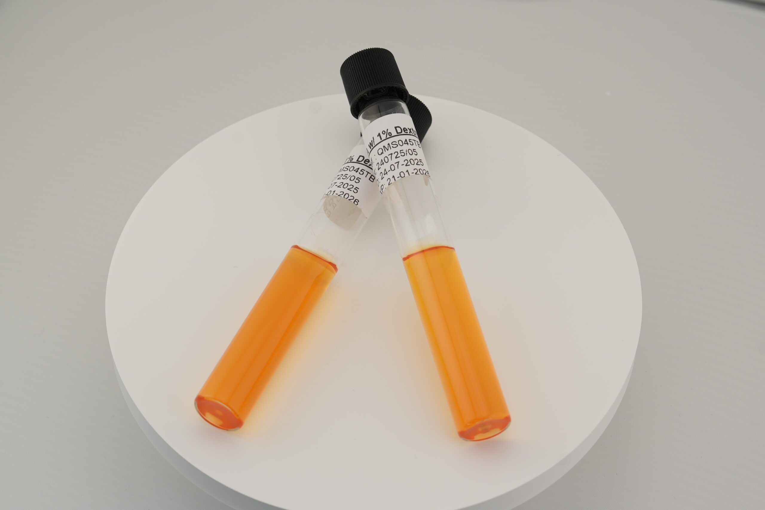 وسط CTA (كربوهيدرات - تريبتيكاز - أجار)