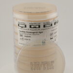 أجار كروموجيني للكانديدا