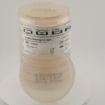 أجار كروموجيني للكانديدا