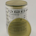 Hektoen Enteric Agar