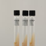 Loeffler Serum Medium
