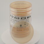 أجار كروموجيني لعزل المكورات العنقودية المقاومة للميثيسيلين (MRSA)