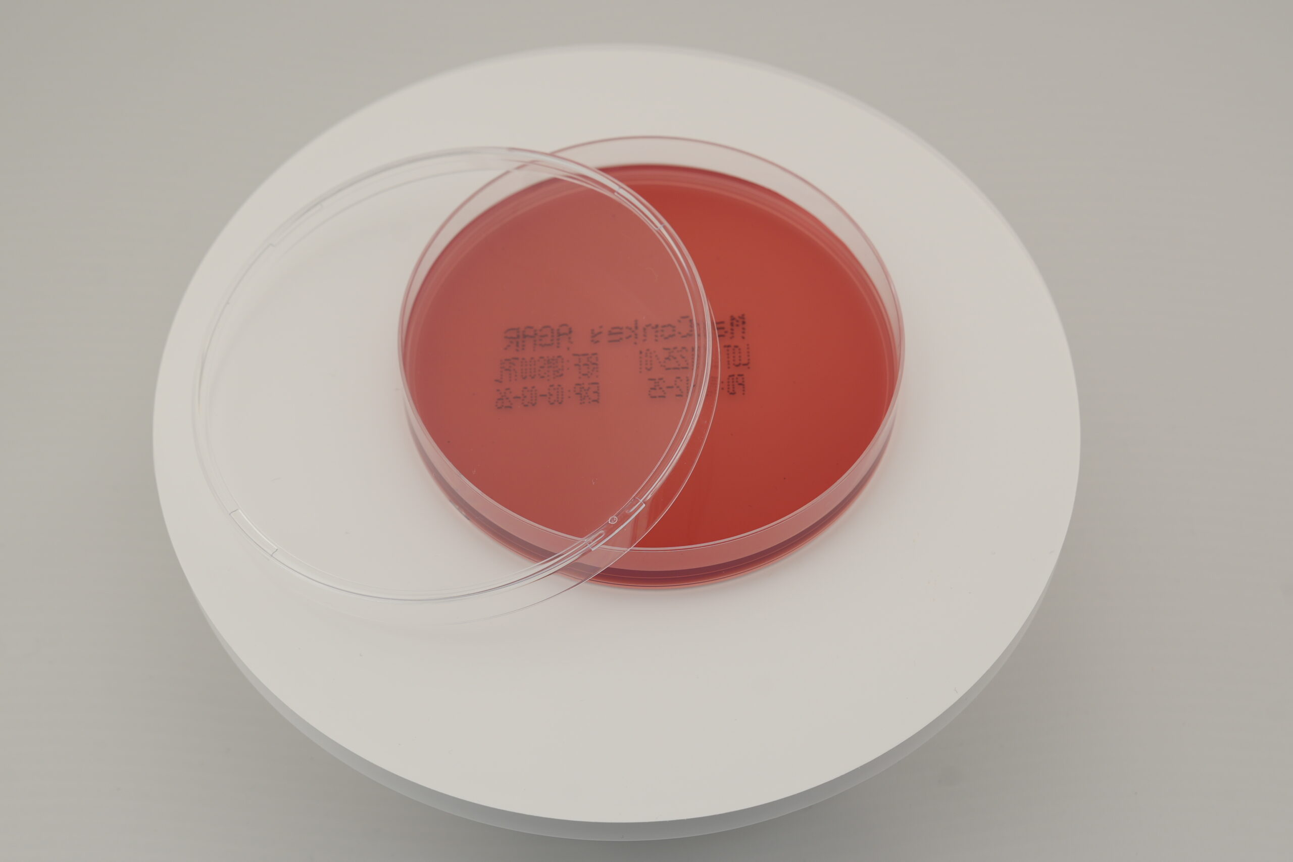 MacConkey Agar