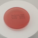 أجار ماكونكي