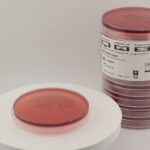 أجار ماكونكي