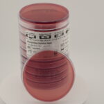 أجار ماكونكي مع سوربيتول