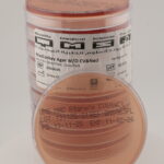 MacConkey Agar w/o Crystal Violet & w/o NaCl