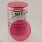 Mannitol Salt Agar