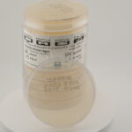 أجار مولر هنتون