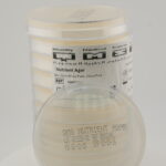 Nutrient Agar