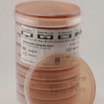 Salmonella Shigella Agar