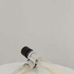 Selenite Cystine Broth