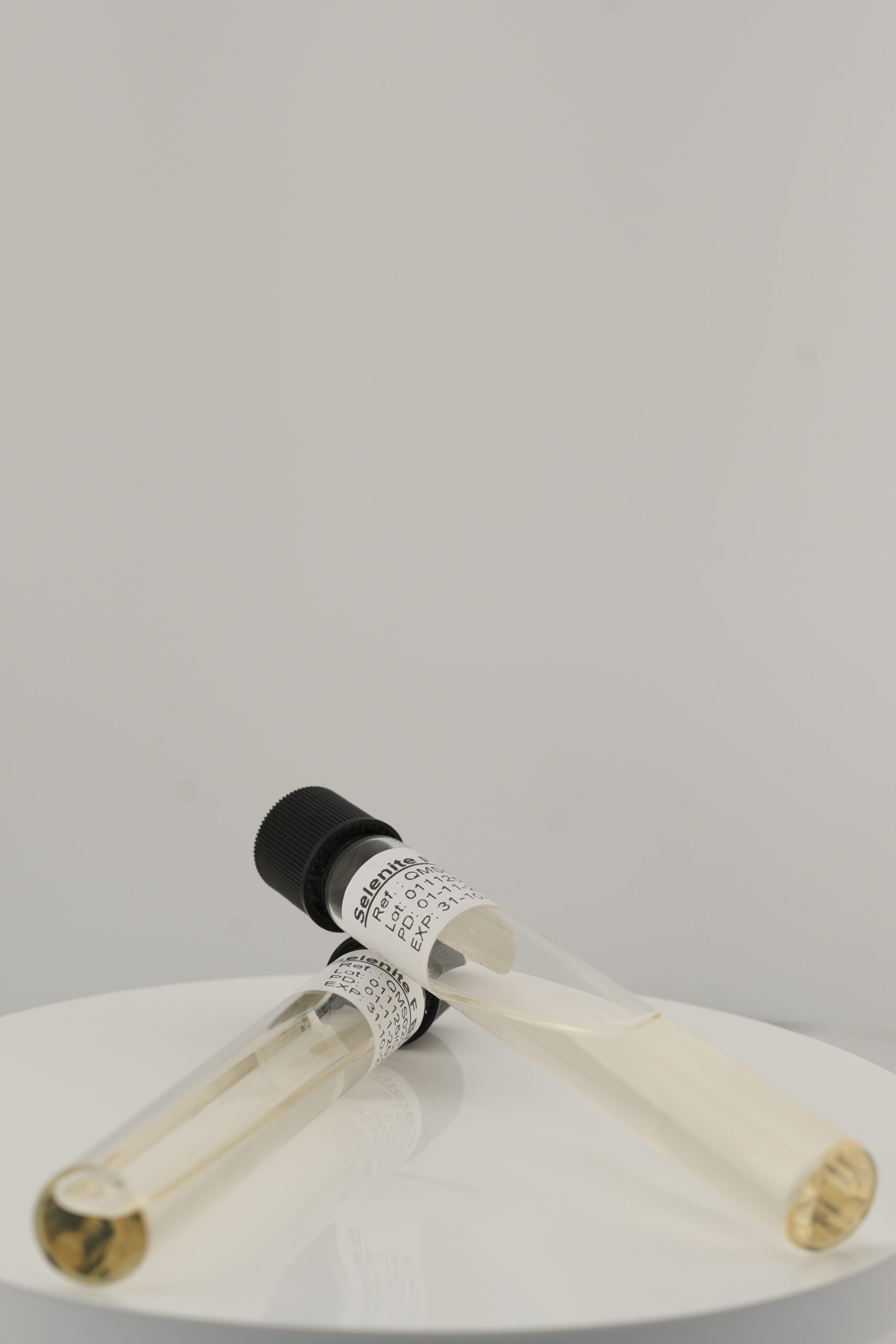 Selenite Cystine Broth