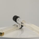 Selenite Cystine Broth