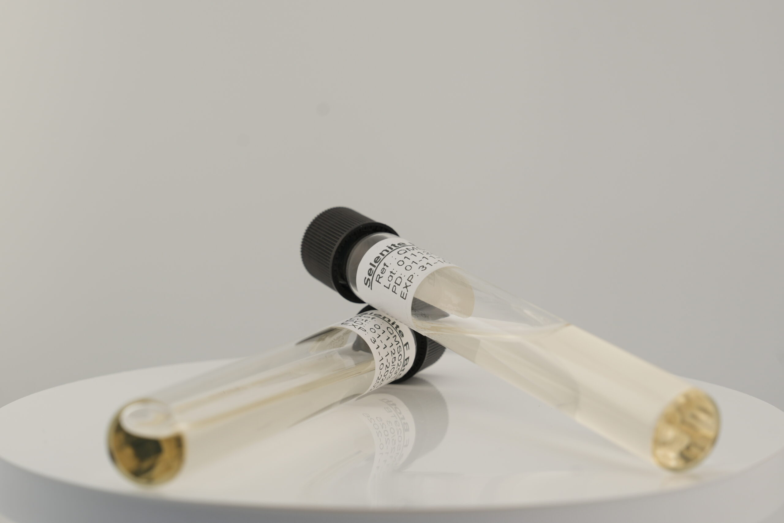 Selenite Cystine Broth