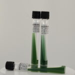 Simmons Citrate Agar slant