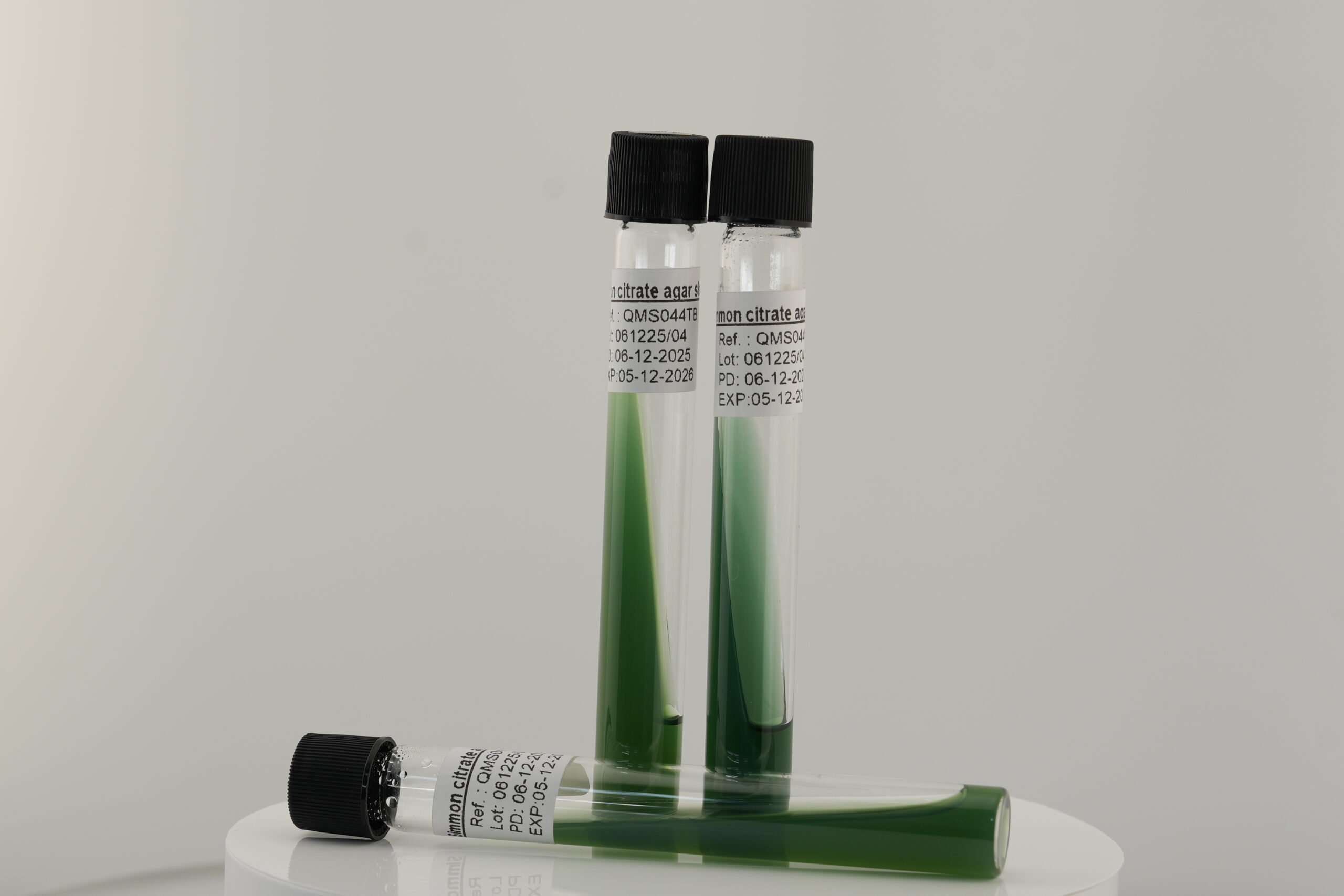 Simmons Citrate Agar slant