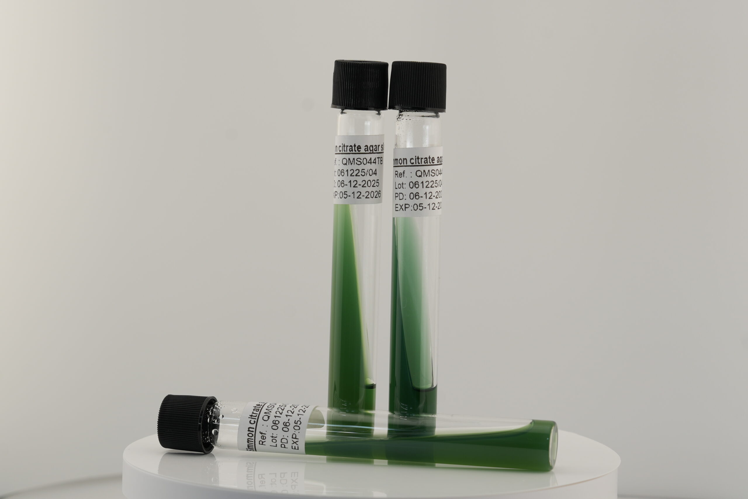 Simmons Citrate Agar slant