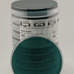 أجار TCBS (ثيوسلفات - سترات - أملاح الصفراء - سكروز)