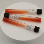 Triple Sugar Iron Agar