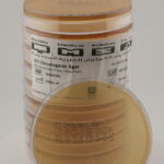 UTI Chromogenic Agar