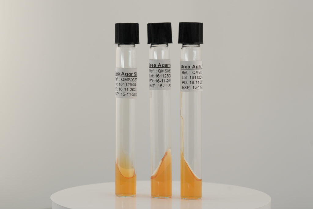 Urea Agar Slant