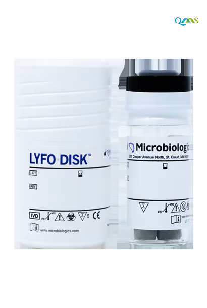 Candida albicans