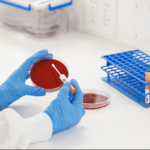 Enterococcus faecalis