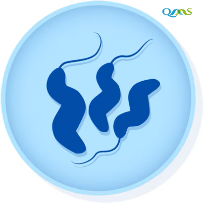 Vibrio parahaemolyticus